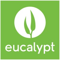 Eucalypt_content strategy agencies