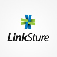 linksure_landing page design service