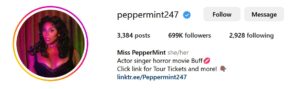 Screenshot of LGBTQ+ influencer Miss Pepper Mint's Instagram Profile