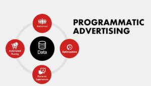 Programmatic-Advertising Infographic
