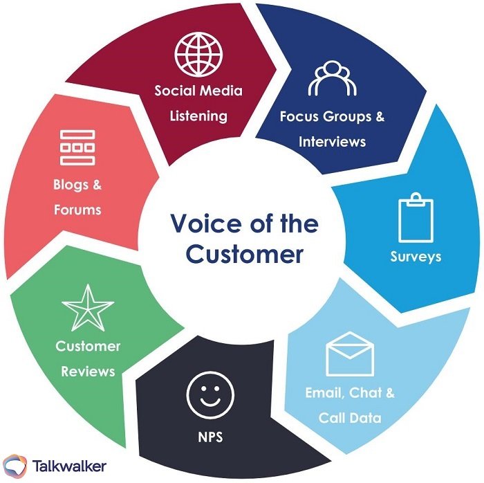 customer-centric strategy graphic on Voice of the Customer