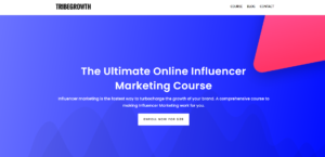 The Ultimate Online Influencer Marketing Course