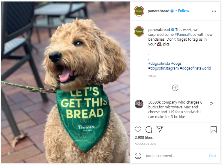 Company Swag Idea - Panera Bread - Screenshot from Instagram