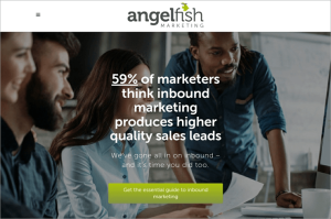 Angelfish Homepage