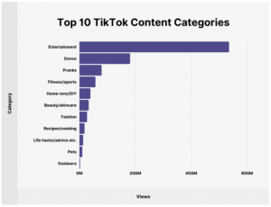 TikTok Influencers - Backlinko Bar Chart - Top TikTok Categories