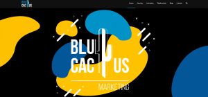 BluCactus Homepage