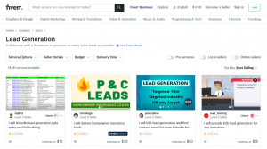 Fiverr Lead Gen Landing Page