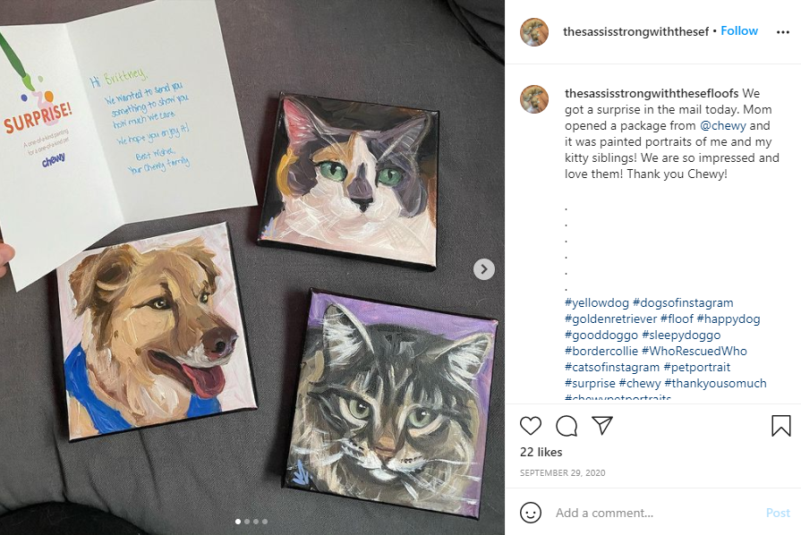 Customer appreciation - Screenshot of an Instagram post showing an owners Chewy Pet Portraits and the card they came with. 