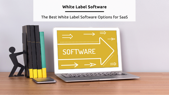 P2P Feature Image - White Label Software - stock concept image from Canva