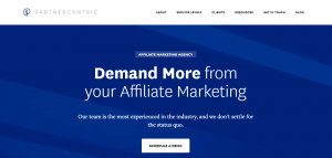 Affiliate Marketing Agencies - Screenshot of PartnerCentric's homepage