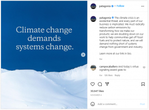 Brand reputation - Screenshot of a post from Patagonia's Instagram about climate change activism 