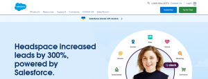 Screenshot of the Salesforce CRM Knowledge Management Tool's Homepage