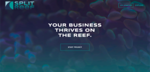 Screenshot of the Split Reef paid media agency's homepage