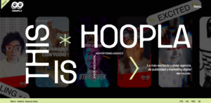 Screenshot of the Hoopla paid media agency homepage