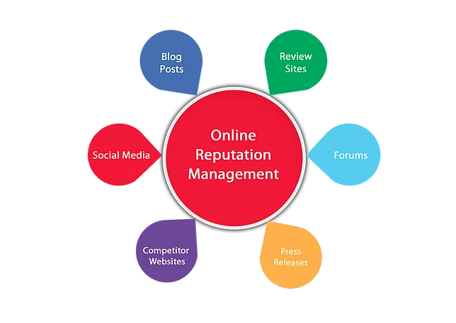 An infographic explaining that Online Reputation Management includes blog posts, review sites, social media, forums, press releases and competitor's websites.