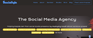 Sociallyin Homepage