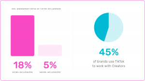 TikTok influencer stats