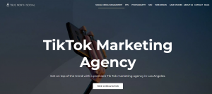 True North Social_TikTok marketing agencies