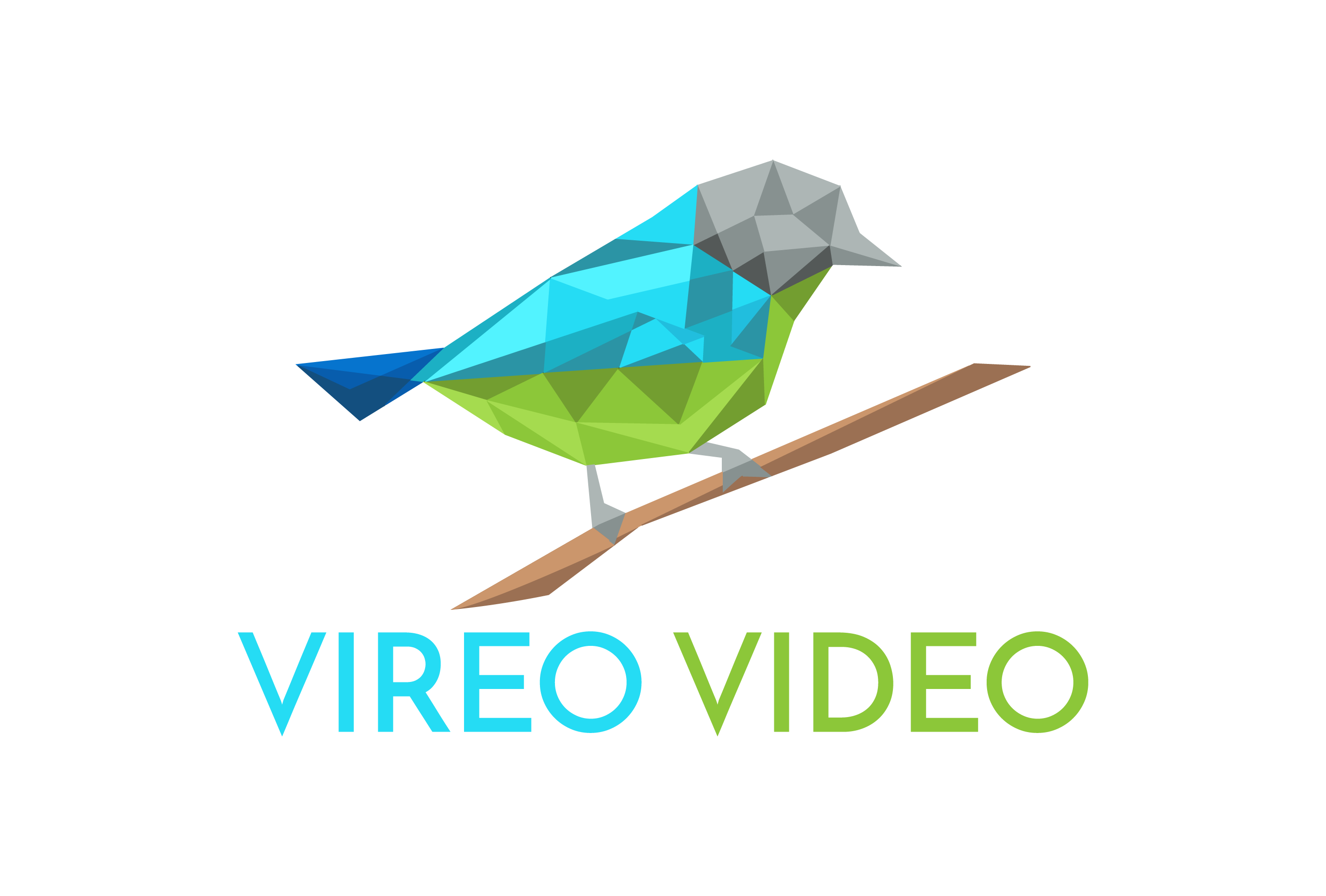Vireo Video Logo