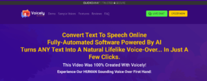 Voicely Homepage