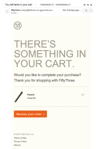 Abandoned Cart Follow Up Email Example