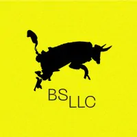 BS LLC_Boutique marketing agency