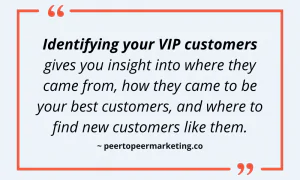Image text says: Identifying your VIP customers gives you insight into where they came from, how they came to be your best customers, and where to find new customers like them.