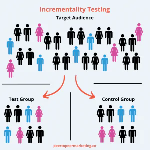 Incrementality Testing - Graphic showing Audience Segmentation