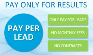 pay-per-lead infographic