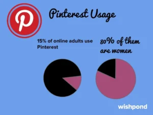 Pinterest Marketing stats and usage data infographic