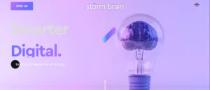 Storm Brain Homepage