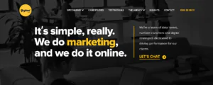 Yoghurt Digital Marketing Agency Homepage